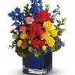 Bold Colors/Compact Design