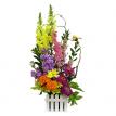 Color-blocked design with a "gardeny" feel