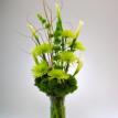Tall and dramatic green arrangement