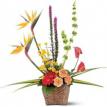 Contemporary tropical basket design